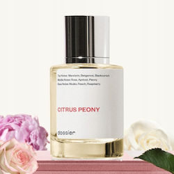 Dossier 50ml