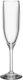 Ready Pool Glass 170ml for Champagne Made of Tritan Plastic