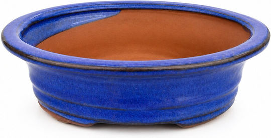 Blue Flower Pot Blue Flower Pot