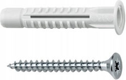 Celo Screw 50 Pieces