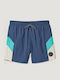 Men's Swimwear Shorts Blue Striped