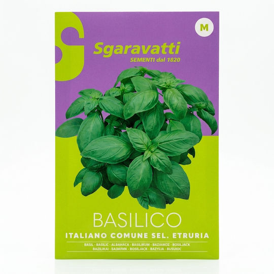 Sgaravatti Seeds Basil Italian Genovese 11-L03-0021 Sgaravatti Seeds Basil Italian Genovese 11-L03-0021