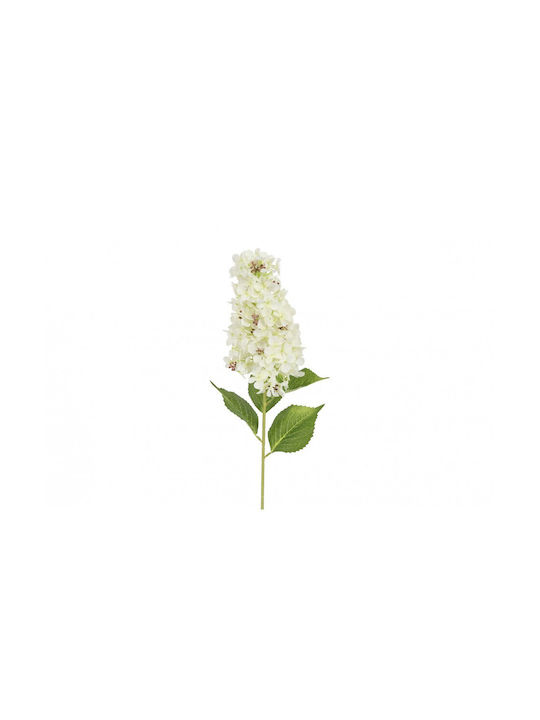 Ορτανσία Paniculata Κλαδί Λευκό 83εκ