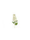 Hydrangea Paniculata White Branch 83cm