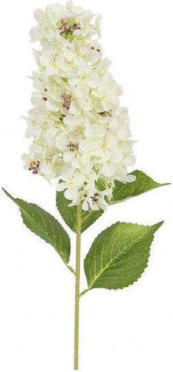 Ορτανσία Paniculata Κλαδί Λευκό 83εκ