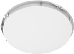 Bulkhead Runde Led 250r 8w 830 840 250x38 Beleuchtungszubehör