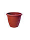 Cyclops No Flower Pot Terracotta
