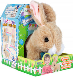 MalPlay Animal MalPlay Animal