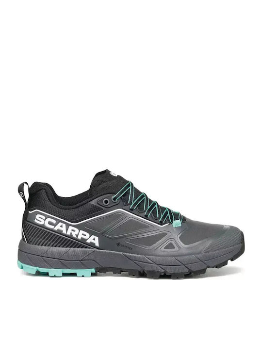 Scarpa
