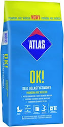 Elasticized Tile Adhesive Class C1te 5kg