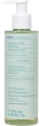Korres Olympus Tea Gel De Curățare a Feței pentru Controlul Sebumului și Acțiune Antioxidantă 200ml Korres Olympus Tea Gel De Curățare a Feței pentru Controlul Sebumului și Acțiune Antioxidantă 200ml