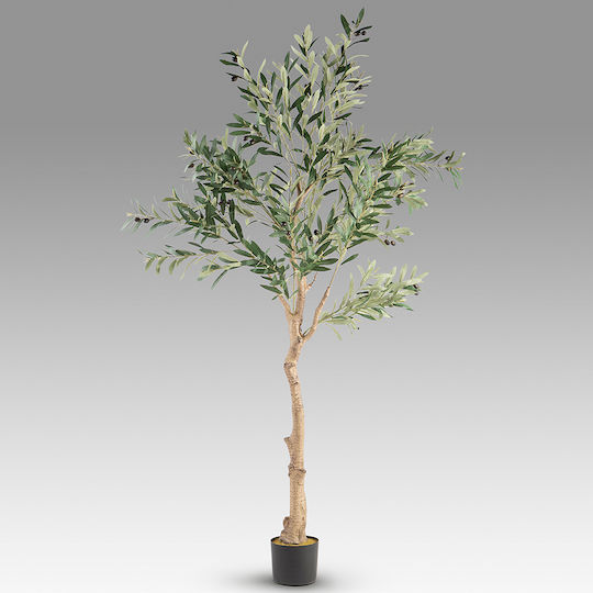 Măslin Artificial Olivo Pvc Metal 90x180cm Schuller 281881 Măslin Artificial Olivo Pvc Metal 90x180cm Schuller 281881