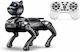 R.S. RC Toy