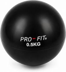 Profit Pilates Ball 0.5kg Profit Pilates Ball 0.5kg