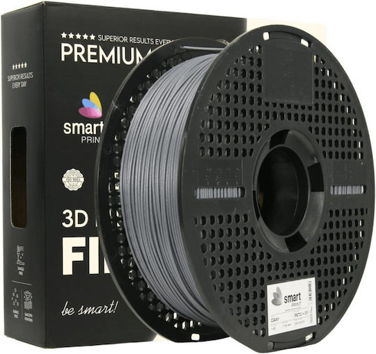 Professional Lab 3D Printer Filament Γκρι 1kg