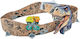 Dinosaurs Track for Ages 3+