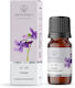 Aromatique Violet Fragrance Oil 12ml