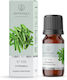 Aromatique Citronella Fragrance Oil 12ml