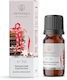 Aromatique Weihnachtsplätzchen Aromatisches Öl 12ml