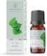 Aromatique Patchouli Duftöl 12ml
