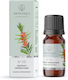 Aromatique Teebaum Duftöl 12ml