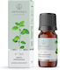 Aromatique Peppermint Fragrance Oil 12ml