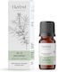 Aromatique Αιθέριο Έλαιο Άρκευθος 10ml