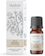 Aromatique Αιθέριο Έλαιο Κέδρος 10ml