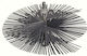 GTC Metallic Chimney Cleaning Brush Round Diameter 150mm