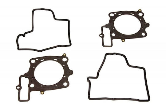 Complete Motorcycle Engine Gasket Set Aprilia Rxv 550 2006-2011 P400010850028