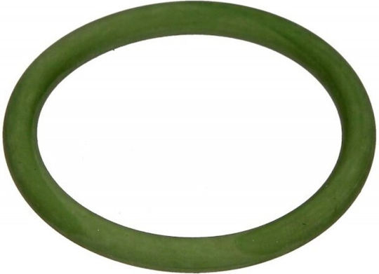 O-ring Ηλεκτρομαγνητικής Βαλβίδας Vanos Bmw X5 E53 5 E60 7 513 222
