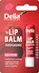 Delia Cosmetics Балсам за устни SPF30 Череша 4.8гр