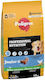 Forza10 12kg Dry Dog Food for Puppies of Medium & Large Breeds with Poultry