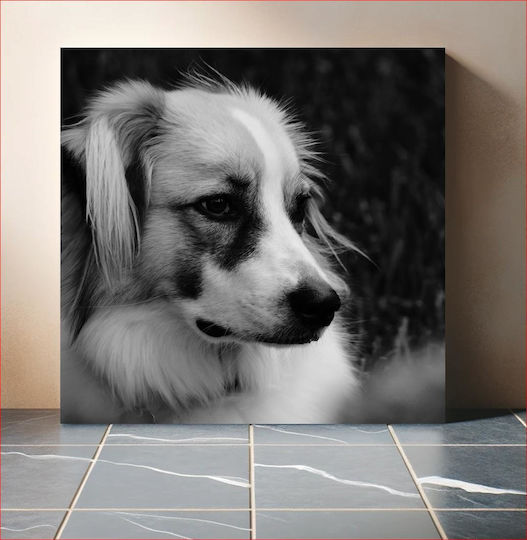 Πίνακας Contemplative Dog In Black White Στοχαστικός Σκύλος Ασπρόμαυρο 110x110