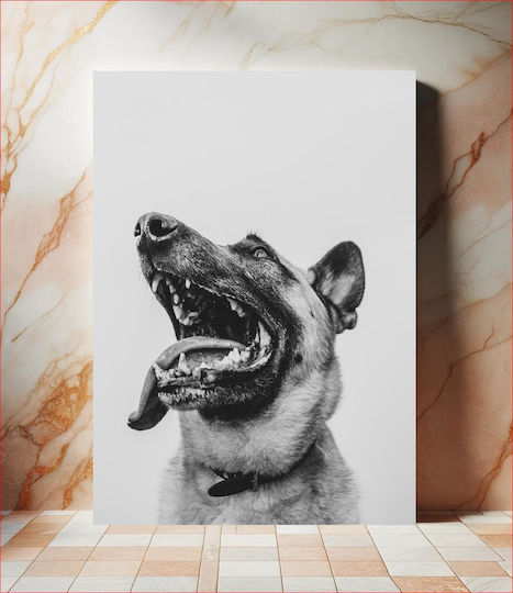 Πίνακας Happy Dog In Black White Happy Dog In Black White 100x150