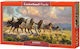 Thunder Prairie Puzzle 2D 4000pcs