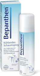 Bayer Spray pentru iritații 75ml