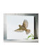 Gemälde Bird In Flight Πουλί Πτήση 120x120