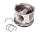 Nural Renault Haupt-Engine Riemen 2.5dci 10 Std
