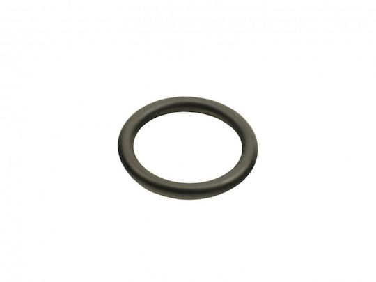 Fast Car Oil Radiator for Fiat Ducato