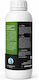 Water Treatment Hellas Алгицид за басейн 1kg
