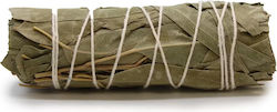 Weißer Salbei und Eukalyptus Räucherstäbchen 10cm Stück 35g Ancient Wisdom
