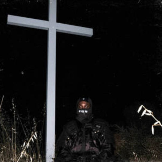 Jpegmafia I Lay Down My Life You Ltd White 1 Vinyl