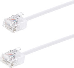 Powertech CAB-N467 U/UTP Kat.6a Ethernet Kabel 0.15m Weiß 50 Stück