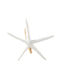 Starfish White Towel Rings Set of 2 Pieces 7.6 Cm