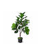 Artificial Ficus Lyrata Potted Plant 150cm 87745