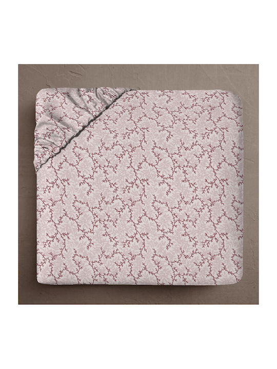Isadore Lorraine Fresh Line Single Bed Sheet Wi...