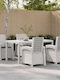 Garden & Outdoor Furniture Set 5 Pieces Vidaxl with Pillows