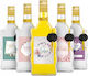 Wine Bottle Fala 500 Ml Gift For Anniversary Valentine's Day Wine Bottles