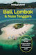 Lonely Planet Bali, Lombok & Nusa Tenggara - Lo...